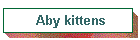 Aby kittens
